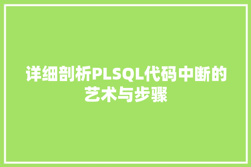 详细剖析PLSQL代码中断的艺术与步骤