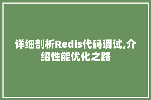 详细剖析Redis代码调试,介绍性能优化之路