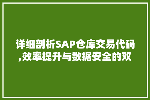 详细剖析SAP仓库交易代码,效率提升与数据安全的双赢之路