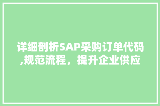 详细剖析SAP采购订单代码,规范流程，提升企业供应链效率