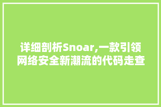 详细剖析Snoar,一款引领网络安全新潮流的代码走查工具