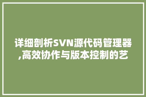 详细剖析SVN源代码管理器,高效协作与版本控制的艺术