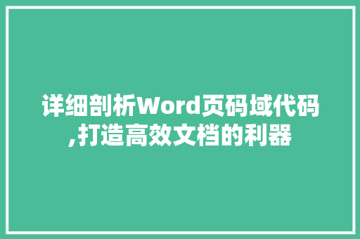 详细剖析Word页码域代码,打造高效文档的利器