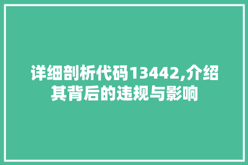 详细剖析代码13442,介绍其背后的违规与影响