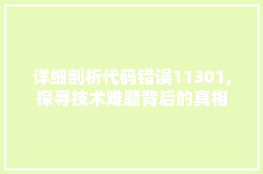 详细剖析代码错误11301,探寻技术难题背后的真相