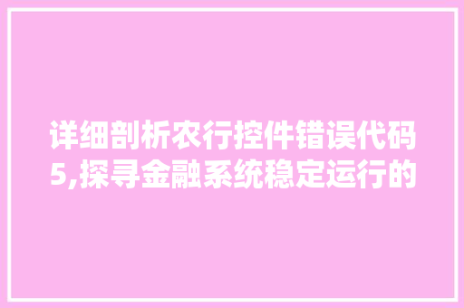 详细剖析农行控件错误代码5,探寻金融系统稳定运行的关键