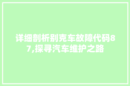 详细剖析别克车故障代码87,探寻汽车维护之路