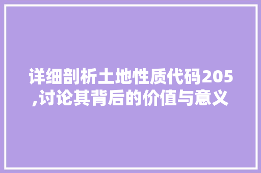 详细剖析土地性质代码205,讨论其背后的价值与意义