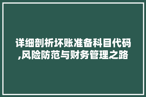 详细剖析坏账准备科目代码,风险防范与财务管理之路