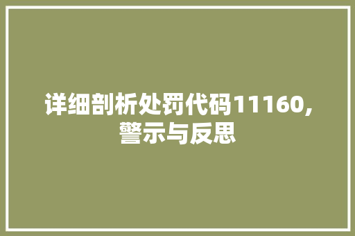 详细剖析处罚代码11160,警示与反思