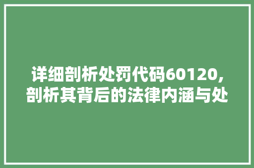 详细剖析处罚代码60120,剖析其背后的法律内涵与处罚措施