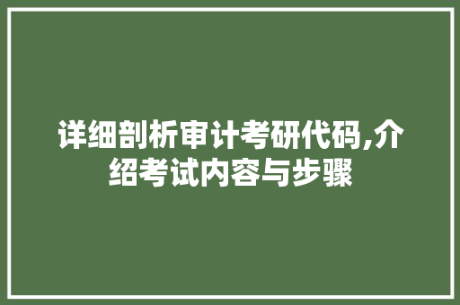 详细剖析审计考研代码,介绍考试内容与步骤