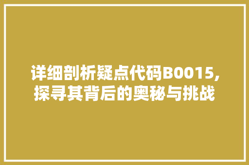 详细剖析疑点代码B0015,探寻其背后的奥秘与挑战