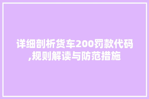 详细剖析货车200罚款代码,规则解读与防范措施