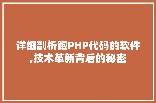 详细剖析跑PHP代码的软件,技术革新背后的秘密