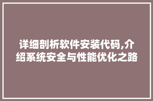 详细剖析软件安装代码,介绍系统安全与性能优化之路