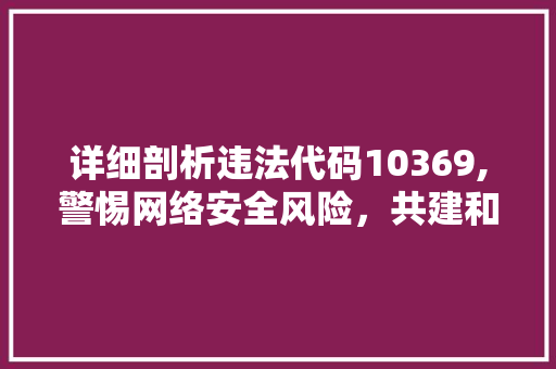 详细剖析违法代码10369,警惕网络安全风险，共建和谐网络环境