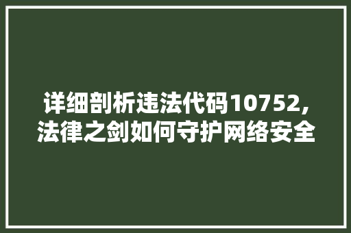 详细剖析违法代码10752,法律之剑如何守护网络安全