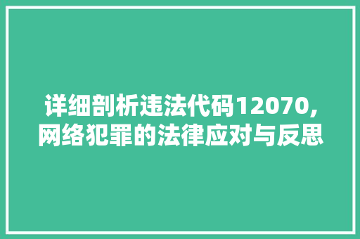 详细剖析违法代码12070,网络犯罪的法律应对与反思