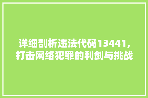 详细剖析违法代码13441,打击网络犯罪的利剑与挑战