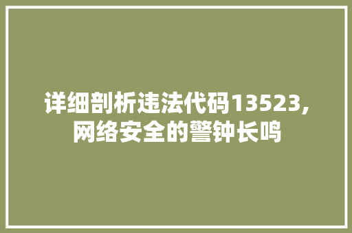 详细剖析违法代码13523,网络安全的警钟长鸣