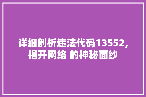 详细剖析违法代码13552,揭开网络 的神秘面纱