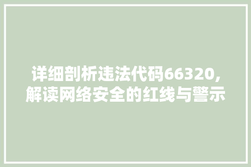 详细剖析违法代码66320,解读网络安全的红线与警示