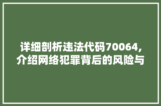 详细剖析违法代码70064,介绍网络犯罪背后的风险与挑战