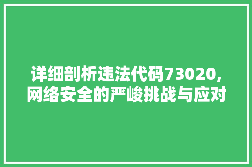 详细剖析违法代码73020,网络安全的严峻挑战与应对步骤