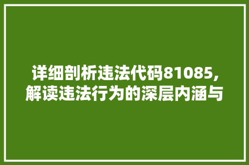 详细剖析违法代码81085,解读违法行为的深层内涵与治理步骤