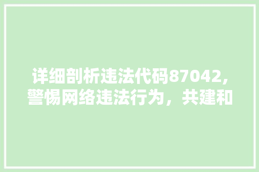 详细剖析违法代码87042,警惕网络违法行为，共建和谐网络空间