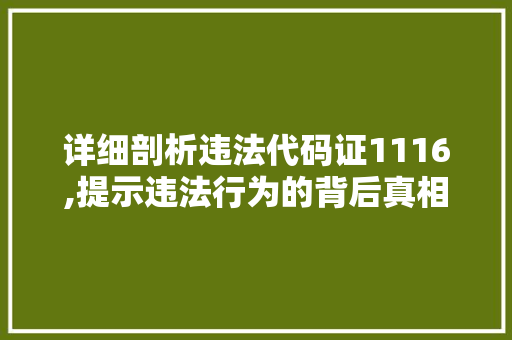 详细剖析违法代码证1116,提示违法行为的背后真相