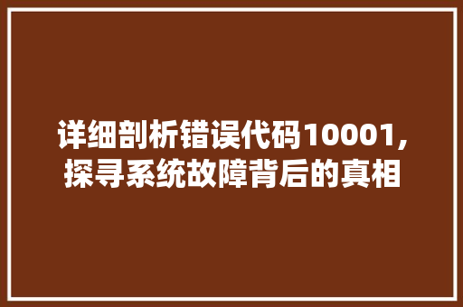 详细剖析错误代码10001,探寻系统故障背后的真相