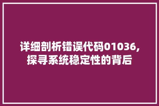 详细剖析错误代码01036,探寻系统稳定性的背后