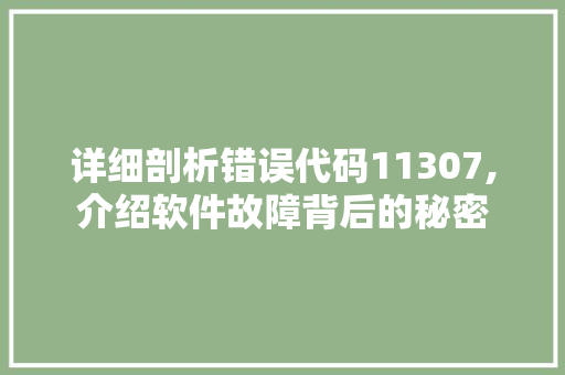 详细剖析错误代码11307,介绍软件故障背后的秘密