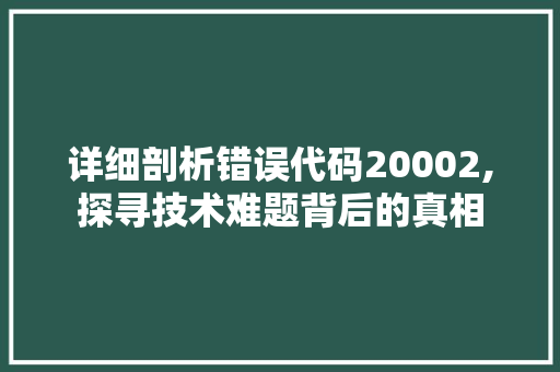 详细剖析错误代码20002,探寻技术难题背后的真相