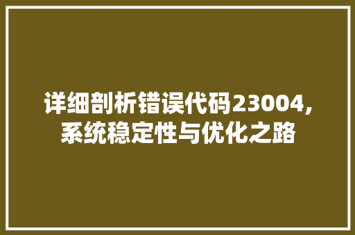 详细剖析错误代码23004,系统稳定性与优化之路