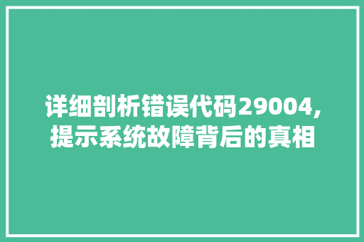 详细剖析错误代码29004,提示系统故障背后的真相