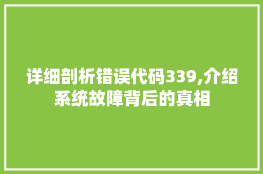 详细剖析错误代码339,介绍系统故障背后的真相