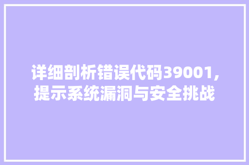 详细剖析错误代码39001,提示系统漏洞与安全挑战