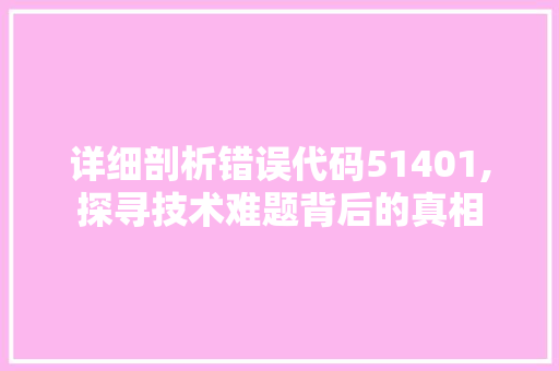 详细剖析错误代码51401,探寻技术难题背后的真相