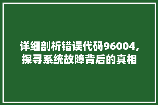 详细剖析错误代码96004,探寻系统故障背后的真相