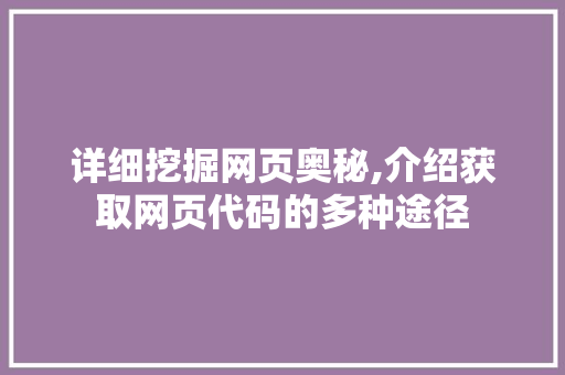 详细挖掘网页奥秘,介绍获取网页代码的多种途径