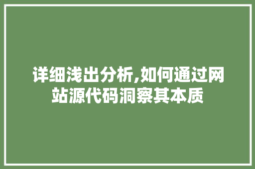 详细浅出分析,如何通过网站源代码洞察其本质