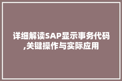 详细解读SAP显示事务代码,关键操作与实际应用