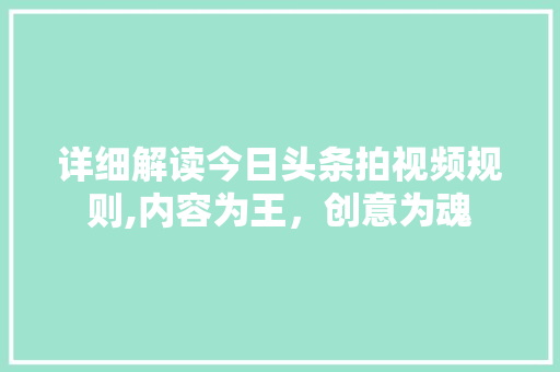 详细解读今日头条拍视频规则,内容为王，创意为魂