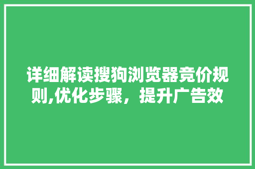 详细解读搜狗浏览器竞价规则,优化步骤，提升广告效果