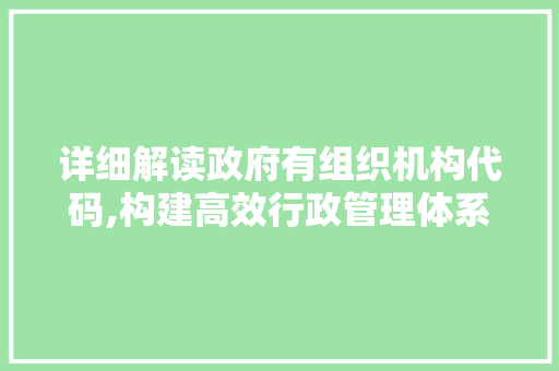 详细解读政府有组织机构代码,构建高效行政管理体系的基石