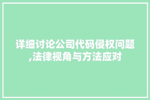 详细讨论公司代码侵权问题,法律视角与方法应对