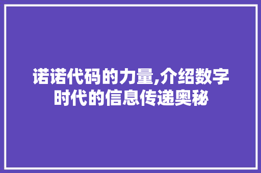 诺诺代码的力量,介绍数字时代的信息传递奥秘